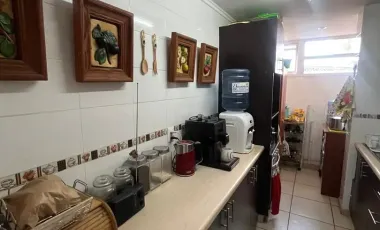 VENTA BOSQUE AZAPA