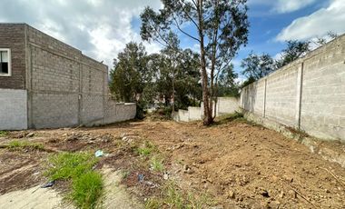 HERMOSO Y AMPLIO TERRENO TOTALMENTE PLANO EN LA URB LOS OLIVOS