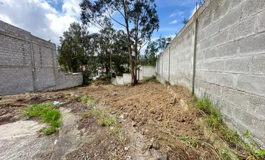 HERMOSO Y AMPLIO TERRENO TOTALMENTE PLANO EN LA URB LOS OLIVOS