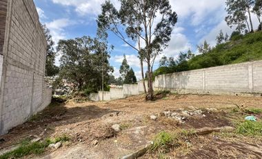 HERMOSO Y AMPLIO TERRENO TOTALMENTE PLANO EN LA URB LOS OLIVOS