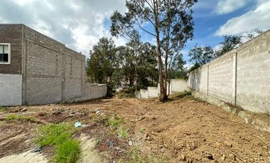 HERMOSO Y AMPLIO TERRENO TOTALMENTE PLANO EN LA URB LOS OLIVOS