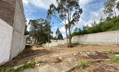 HERMOSO Y AMPLIO TERRENO TOTALMENTE PLANO EN LA URB LOS OLIVOS