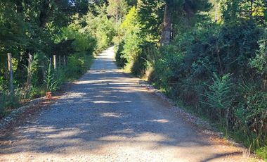 Campo de 20 Hectáreas en Venta en Valdivia – Bosque Nativo, Estero y Excelente Ubicación en Sector Los Guindos