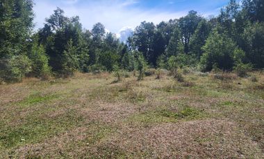 Campo de 20 Hectáreas en Venta en Valdivia – Bosque Nativo, Estero y Excelente Ubicación en Sector Los Guindos