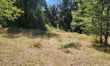 Campo de 20 Hectáreas en Venta en Valdivia – Bosque Nativo, Estero y Excelente Ubicación en Sector Los Guindos