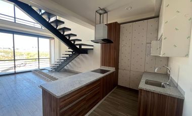 Av de Las Amazonas 1103, Lomas de La Presa, León