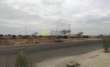 VENDO TERRENO DE 3 HECTAREAS CARRETERA PIURA PAITA