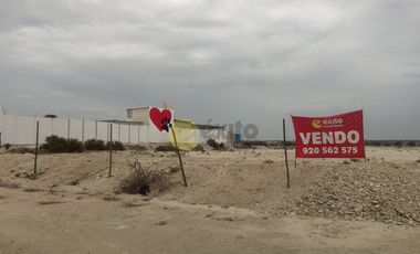 VENDO TERRENO DE 3 HECTAREAS CARRETERA PIURA PAITA