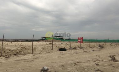 VENDO TERRENO DE 3 HECTAREAS CARRETERA PIURA PAITA