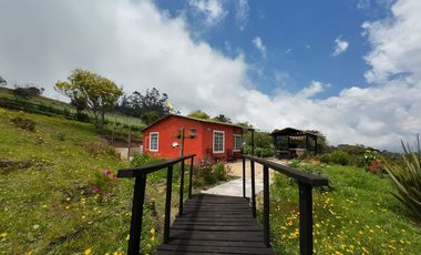 VENDO FINCA EN EL ROSAL