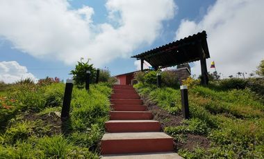 VENDO FINCA EN EL ROSAL