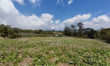 VENDO FINCA EN EL ROSAL