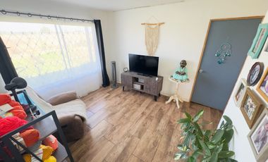 SE VENDE PROPIEDAD CON 2 CASAS EN SANTA RITA, PELARCO.