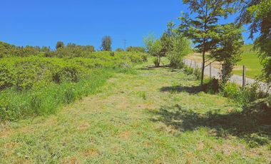 Venta Terreno 5000 M2 – Rol propio - Vista Lago Panguipulli