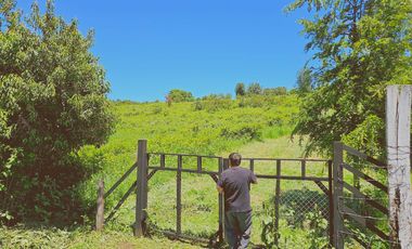 Venta Terreno 5000 M2 – Rol propio - Vista Lago Panguipulli