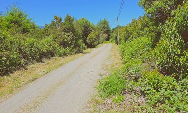 Venta Terreno 5000 M2 – Rol propio - Vista Lago Panguipulli