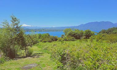 Venta Terreno 5000 M2 – Rol propio - Vista Lago Panguipulli