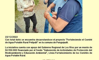 Venta Terreno 5000 M2 – Rol propio - Vista Lago Panguipulli