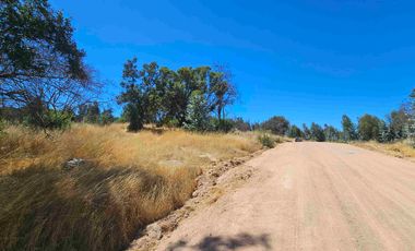 Parcela Hermosa vista a 1  hora de Pichilemu!!!