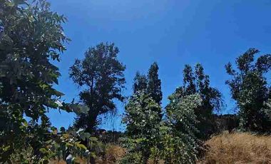 Parcela Hermosa vista a 1  hora de Pichilemu!!!