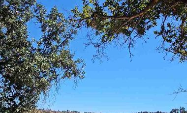 Parcela Hermosa vista a 1  hora de Pichilemu!!!