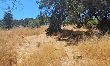 Parcela Hermosa vista a 1  hora de Pichilemu!!!