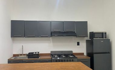 DEPARTAMENTO EN RENTA PLANTA BAJA CERCA DE PUERTA REAL