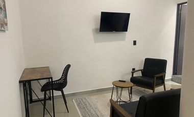 DEPARTAMENTO EN RENTA PLANTA BAJA CERCA DE PUERTA REAL