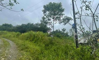 vendo finca