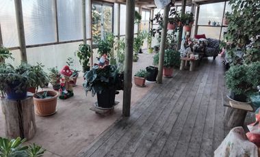 Vende sitio con casa en Trapen Puerto Montt