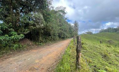 finca de 15 Has en venta, más para fines turísticos, con fuentes de agua y bosque 🌳