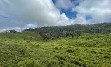finca de 15 Has en venta, más para fines turísticos, con fuentes de agua y bosque 🌳