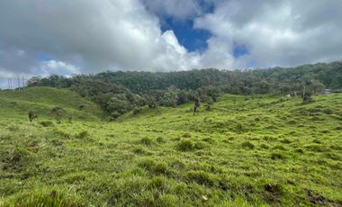finca de 15 Has en venta, más para fines turísticos, con fuentes de agua y bosque 🌳