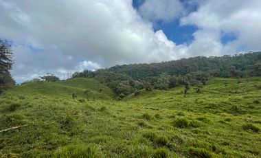 finca de 15 Has en venta, más para fines turísticos, con fuentes de agua y bosque 🌳