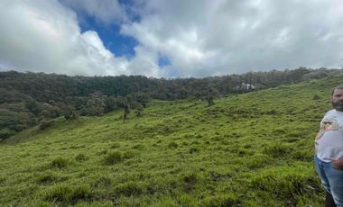 finca de 15 Has en venta, más para fines turísticos, con fuentes de agua y bosque 🌳