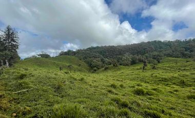 finca de 15 Has en venta, más para fines turísticos, con fuentes de agua y bosque 🌳