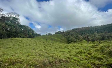 finca de 15 Has en venta, más para fines turísticos, con fuentes de agua y bosque 🌳
