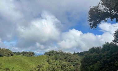 finca de 15 Has en venta, más para fines turísticos, con fuentes de agua y bosque 🌳