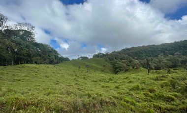 finca de 15 Has en venta, más para fines turísticos, con fuentes de agua y bosque 🌳