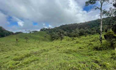 finca de 15 Has en venta, más para fines turísticos, con fuentes de agua y bosque 🌳
