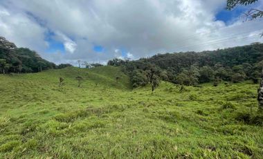 finca de 15 Has en venta, más para fines turísticos, con fuentes de agua y bosque 🌳