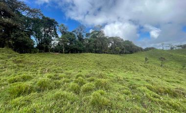 finca de 15 Has en venta, más para fines turísticos, con fuentes de agua y bosque 🌳
