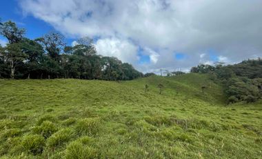 finca de 15 Has en venta, más para fines turísticos, con fuentes de agua y bosque 🌳