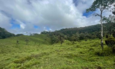 finca de 15 Has en venta, más para fines turísticos, con fuentes de agua y bosque 🌳