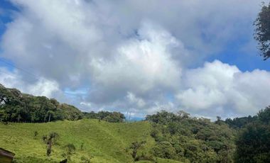 finca de 15 Has en venta, más para fines turísticos, con fuentes de agua y bosque 🌳
