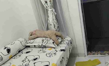 Rumah 2lt murah cantik di Praktical House Cinangka Sawangan Depok