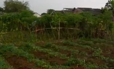 Dijual Tanah SHM Luas 686 m2 di Desa Ciwalen, Lokasi Dekat Gudang Alfamart