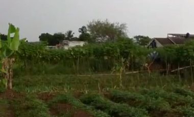 Dijual Tanah SHM Luas 686 m2 di Desa Ciwalen, Lokasi Dekat Gudang Alfamart