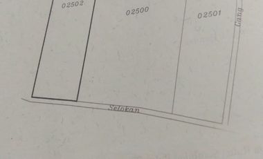 Dijual Tanah SHM Luas 686 m2 di Desa Ciwalen, Lokasi Dekat Gudang Alfamart