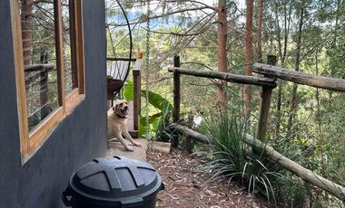 Se Vende Finca Guarne La Mosquita